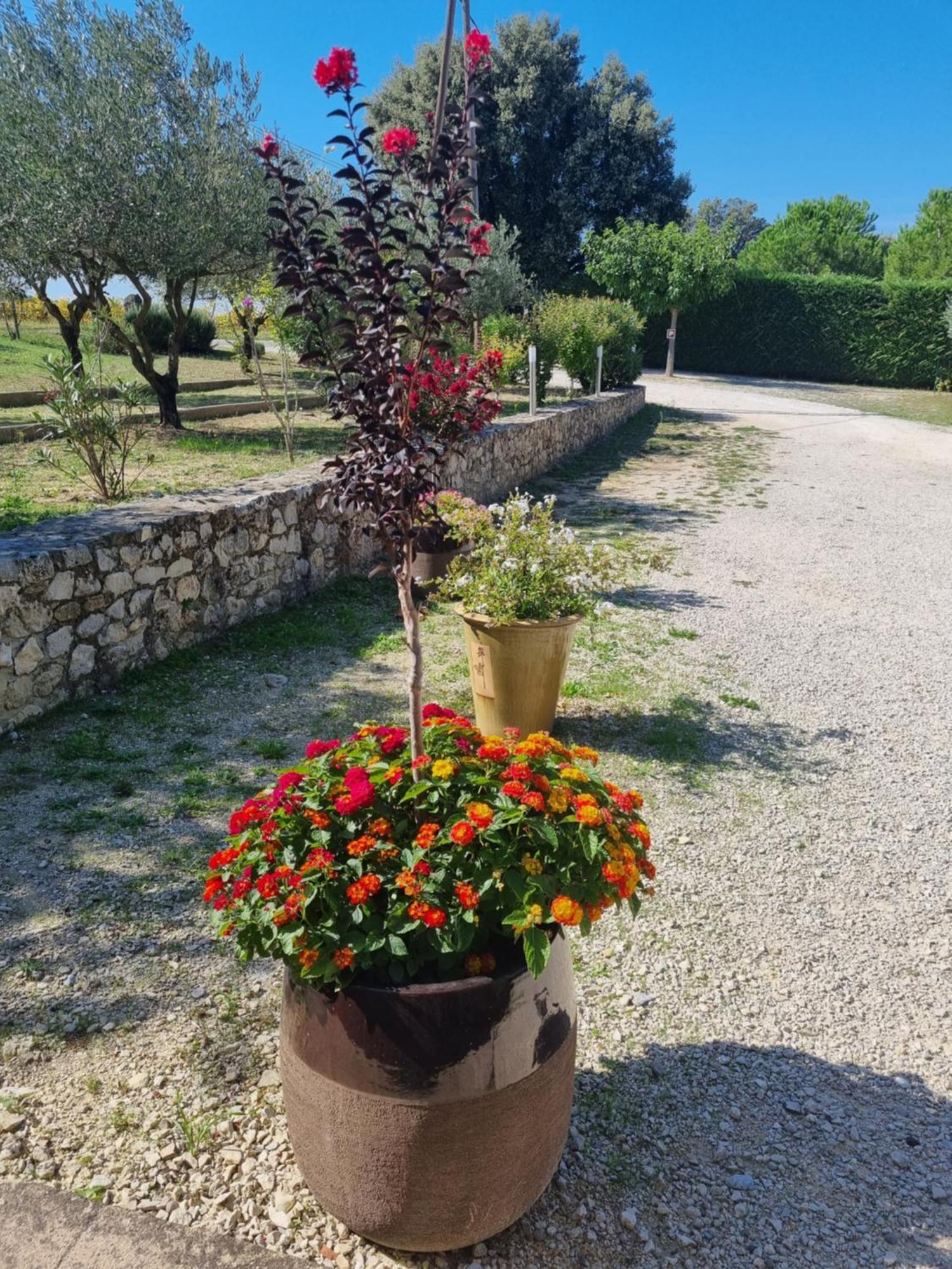 La Fanette Guest house Montbrison-sur-Lez