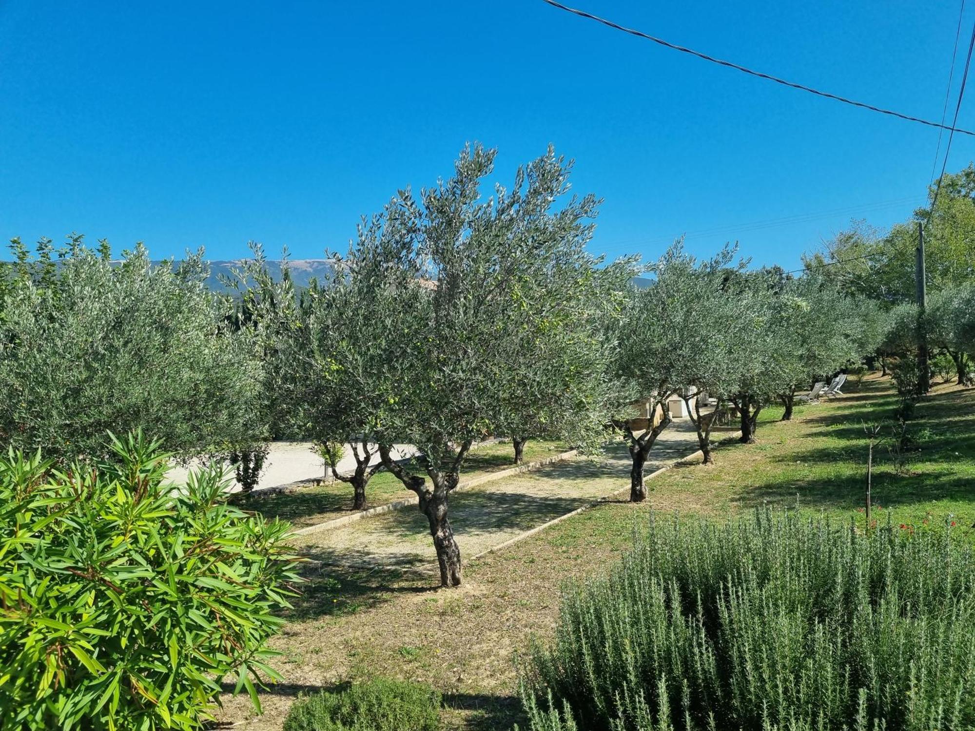 Guest house La Fanette Montbrison-sur-Lez